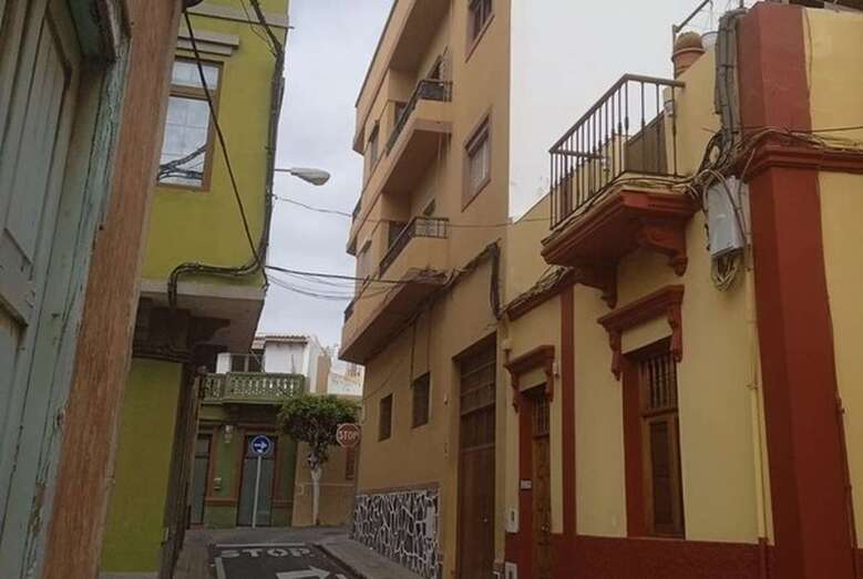 El ave vive en el balcón de una vivienda / TA